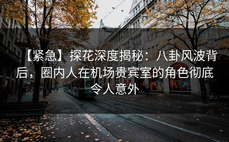 【紧急】探花深度揭秘：八卦风波背后，圈内人在机场贵宾室的角色彻底令人意外