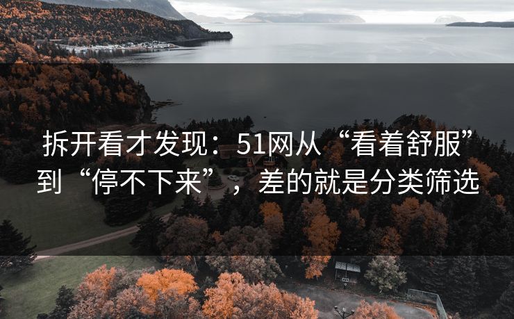 拆开看才发现：51网从“看着舒服”到“停不下来”，差的就是分类筛选
